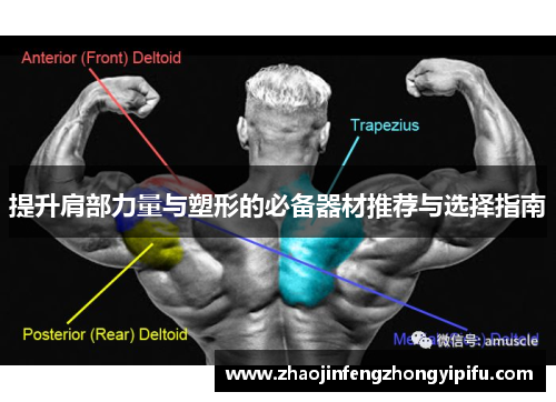 提升肩部力量与塑形的必备器材推荐与选择指南