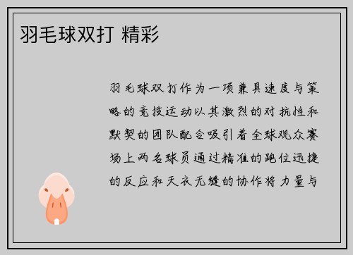 羽毛球双打 精彩